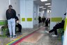 Кировская область заняла третье место в России по «мышиной лихорадке»