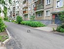 В Кирове реализовали около 50% проектов поддержки местных инициатив