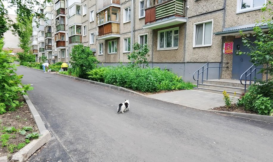 В Кирове реализовали около 50% проектов поддержки местных инициатив