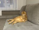 Гости замечают это за секунды: 8 "колхозных" деталей в интерьере, которые давно считаются признаком дурного вкуса