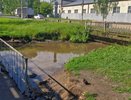 В Кирове очистили реку с умирающими птицами