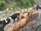 Отдых в Абхазии: 5 нюансов, о которых молчат турагенты - стоит ли ехать в 2026?