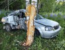 Под Советском водитель на иномарке вылетел с дороги прямо в дерево