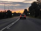В Кировской области сбили зайца и семь лосей: где чаще происходят ДТП
