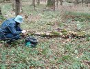 Эксперты назвали самые грибные места Кировской области