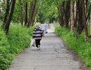 Киров окажется в яме холода из-за Эль-Ниньо