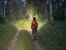 "Третий день ищут в лесу": под Кировом бесследно пропал грибник