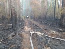 Кировчане отправились в Томскую область спасать тайгу от огня