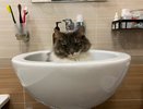К выходным часть Кирова останется без воды
