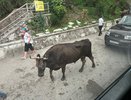 Раньше туда было не пробиться, а теперь — пустота: 11 популярных мест в России, в которые перестали ездить русские туристы — и вот почему