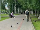 Волна холода идет на Киров: температура резко опустится до 9 градусов