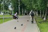 Волна холода идет на Киров: температура резко опустится до 9 градусов