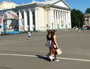 В Киров резко придет 26-градусная жара