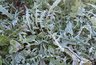Мокрый снег и заморозки до −5°C: один из регионов России накрывает погодная аномалия — готовьтесь заранее