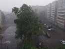 Грозы со штормовым ветром резко накроют Кировскую область
