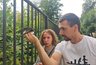 В Кирове начали падать стрижи: "По тельцу бегали кровососки"