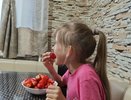 В Кировскую область завезли более 44 тонн клубники из Киргизии