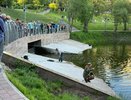 Кировскую область накроет резкое похолодание