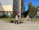 Кировчанам предложили создать службы знакомств на работе