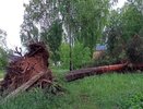 "Деревья вырывало с корнем": гроза с градом устроила хаос под Кировом