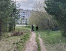 В Кировской области 100 гектаров леса оказались под угрозой вырубки
