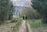 В Кировской области 100 гектаров леса оказались под угрозой вырубки