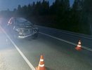 Лось раздавил пассажира авто после столкновения на трассе в Кировской области