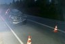 Лось раздавил пассажира авто после столкновения на трассе в Кировской области