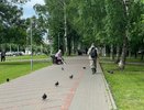 Кировчан ждет сильная магнитная буря и северное сияние