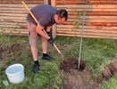 Как работать на даче летом, чтобы не сорвать спину? Запомните ценные советы врача-невролога раз и на всю жизнь