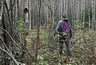 Пропавший в лесу грибник нашелся спустя две недели под Котельничем