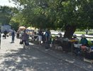 Дачникам дали бесплатные места для торговли на рынках Кирова
