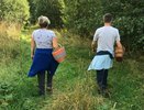 Грузди пошли: где собирают грибы в Кировской области
