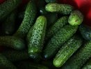 Почему огурцы в банках становятся мягкими: один трюк перед засолкой меняет все