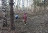 Где жители Кировской области собирают землянику ведрами: краткий путеводитель