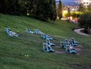 За траву кировчан оштрафуют на 300 тысяч