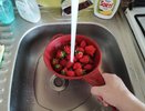 Поставили точку в вопросе — нужно ли мыть ягоды перед едой: ответ ученых