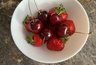 Самым мощным продуктом для иммунитета ученые признали ягоду из России: вы точно не догадаетесь, о какой речь
