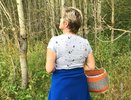 "Можно и пять корзин набрать": карта грибных мест с лисичками в Кировской области
