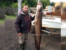 Рыбак из Котельнича поймал сома весом в 32 кило: "Одной рукой тянул, второй снимал на телефон"
