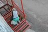 Охотницу за цветами поймали на камеру наблюдения в Кирове
