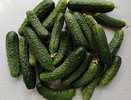 Старинный рецепт соленых огурчиков - получаются как из бочки: чудная заготовка на зиму