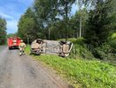 Женщина и ребёнок попали в ДТП с лосем на трассе в Верхошижемском районе