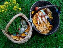 Бабушки чистили маслята всю ночь, а зря? Грибники раскрыли, нужно ли на самом деле снимать липкую кожицу