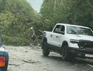 В Кирове ураган ломал деревья и сверкала шаровая молния