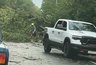 В Кирове ураган ломал деревья и сверкала шаровая молния