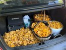 Кировские грибники собирают лисички целыми багажниками
