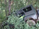 Водитель внедорожника влетел в дерево и погиб в Тужинском районе