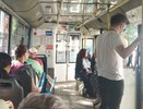 Когда троллейбус №7 вернут на прежний маршрут: власти назвали сроки