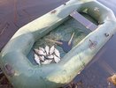Два года тюрьмы грозит кировчанину за 10 пойманных в Вятке рыб